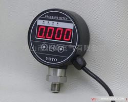 “武漢微電腦數字壓力表“/