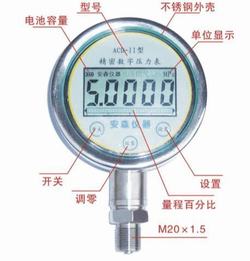 “廣州ys-100y數(shù)字壓力表“/