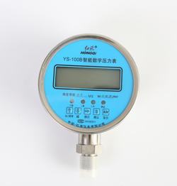 “洛陽數顯壓力表核心元件是什么“/