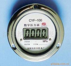 “鞍山數字電觸點壓力表怎調說明圖“/
