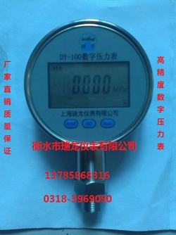 “常州RK-S5數顯壓力表“/